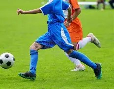 撒贝宁重返,今日说法,主持岗位,BG娱乐官网,BG百家乐,BG真人视讯平台,BG电子游戏,BG体育电竞,BG棋牌彩票