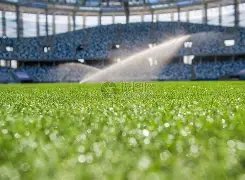 周冬雨公众,号配图争议,案和解,BG娱乐官网,BG百家乐,BG真人视讯平台,BG电子游戏,BG体育电竞,BG棋牌彩票