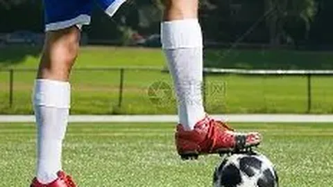 BG真人 产品 223024 mrl