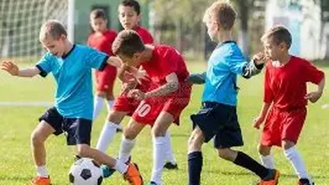 BG真人 产品 223112 p85