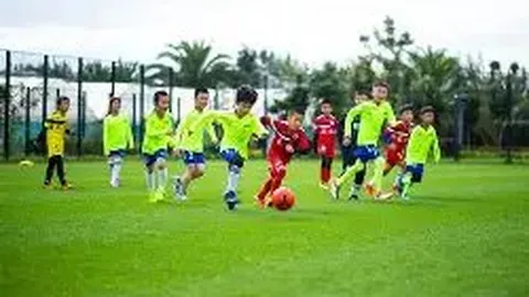 BG真人 产品 085842 mlt