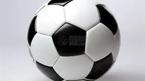 杨超越落户上海引关注，官方揭秘特殊人才标准