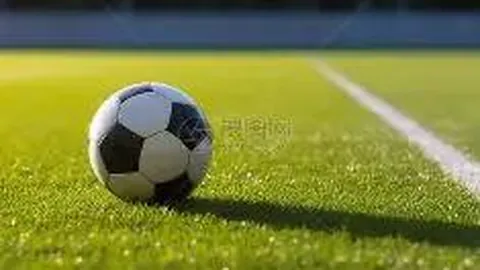 BG真人 产品 093753 pvi