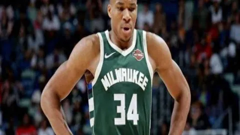 携手共赴协同发展的春天之旅