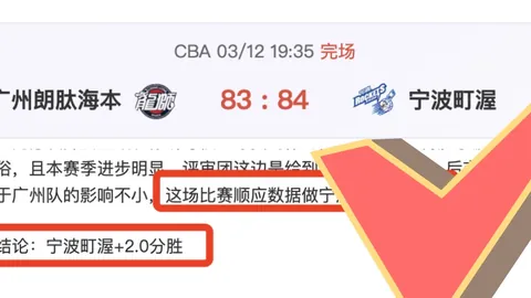 智利甲利马切颜色客场首胜预测：专家推荐及质合分析